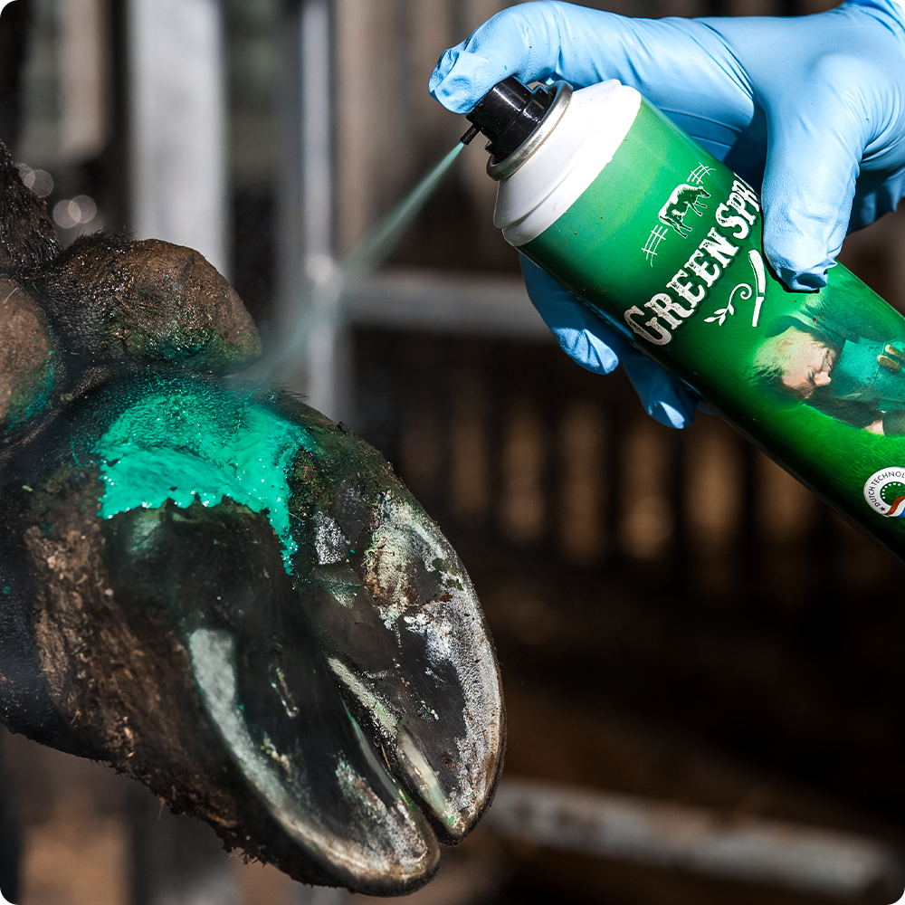 Green Spray for hooves, USA product